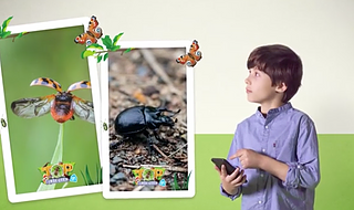 Albert Heijn Insectenplaatjes