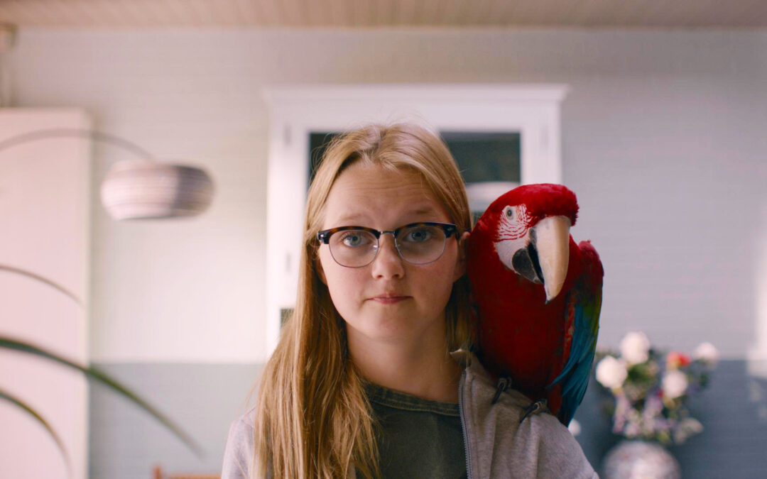 De regels van Floor S3